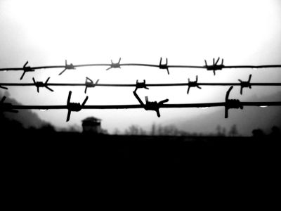 Колючая проволока (abc-belarus.org) Колючая проволока (abc-belarus.org)