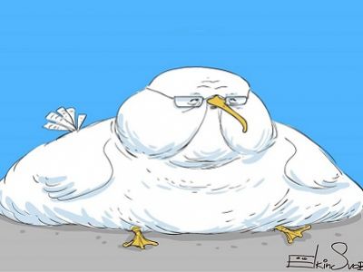 Чайка. Карикатура С.Елкина, источник - https://www.facebook.com/photo.php?fbid=1149220408425618&set=a.153888747958794.31084.100000130094391 Чайка. Карикатура С.Елкина, источник - https://www.facebook.com/photo.php?fbid=1149220408425618&set=a.153888747958794.31084.100000130094391