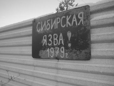 Эпидемия сибирской язвы в Свердловске, 1979 г. Иллстрация: Накануне.ru Эпидемия сибирской язвы в Свердловске, 1979 г. Иллстрация: Накануне.ru